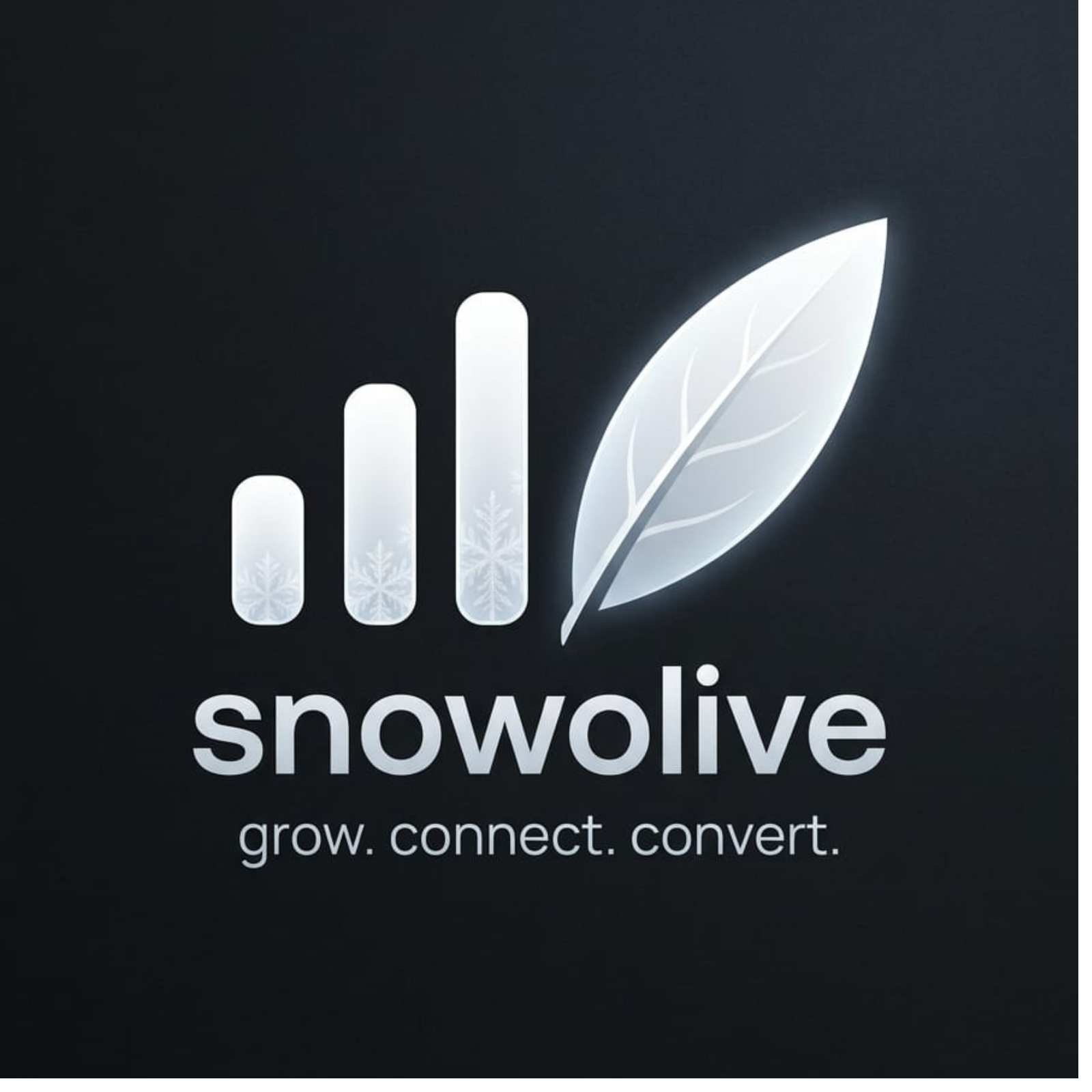 Snowolive Digital Marketing Agency Logo